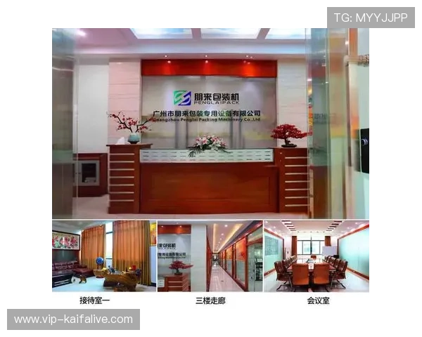 k8凯发(中国)天生赢家首页：安全保障措施与账号安全维护全方位介绍